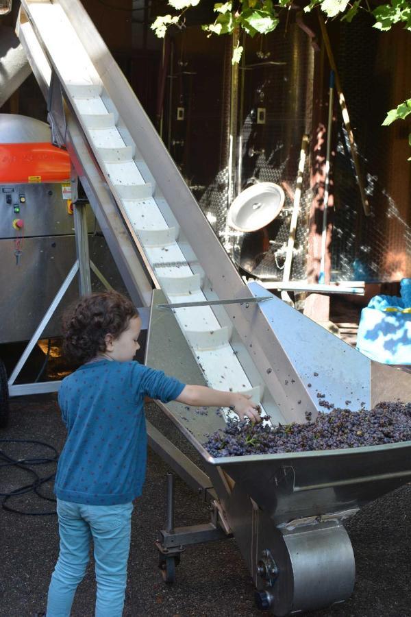Chez Cecile Bed And Breakfast Chez Le Vigneron กอลมาร์ ภายนอก รูปภาพ