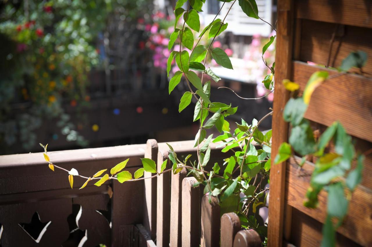 Chez Cecile Bed And Breakfast Chez Le Vigneron กอลมาร์ ภายนอก รูปภาพ