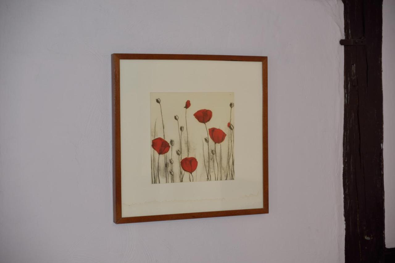 Chez Cecile Bed And Breakfast Chez Le Vigneron กอลมาร์ ภายนอก รูปภาพ