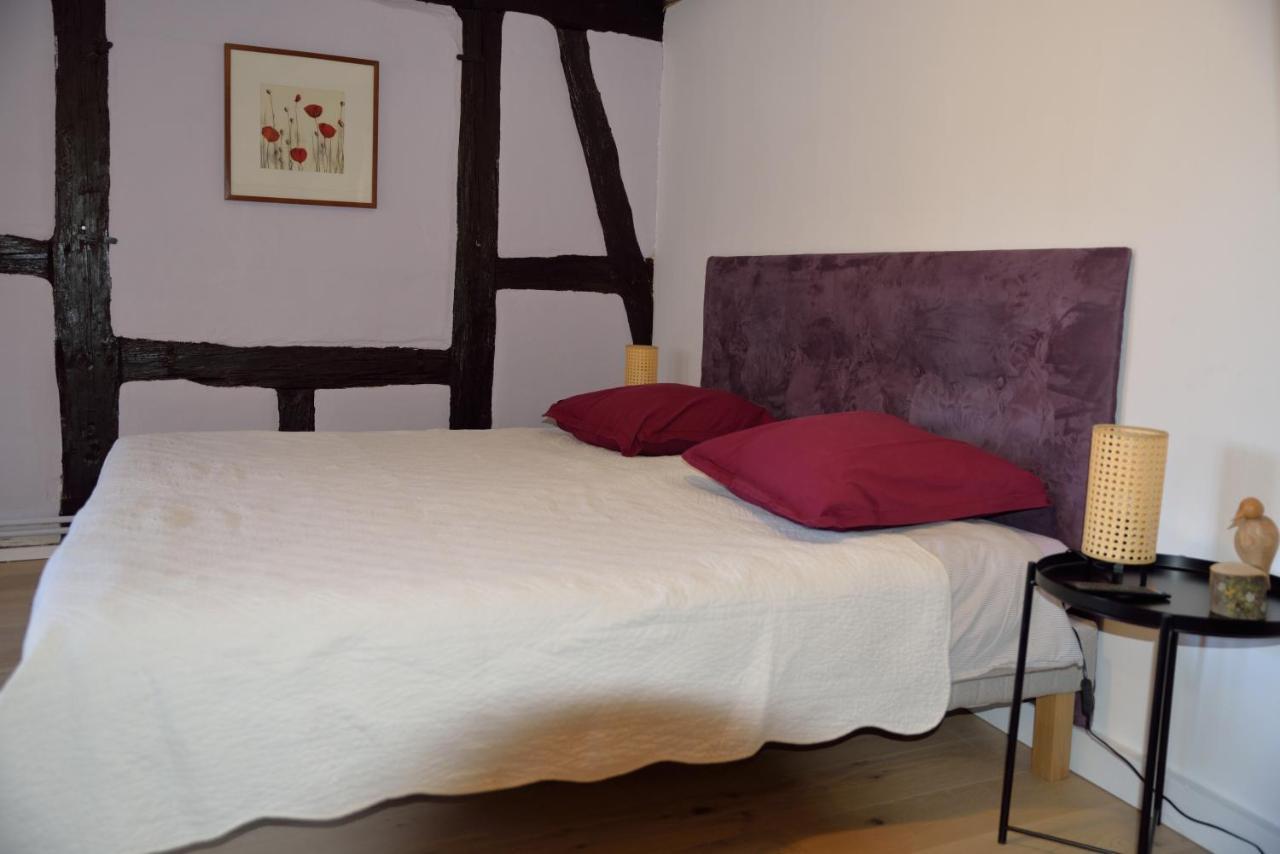Chez Cecile Bed And Breakfast Chez Le Vigneron กอลมาร์ ภายนอก รูปภาพ